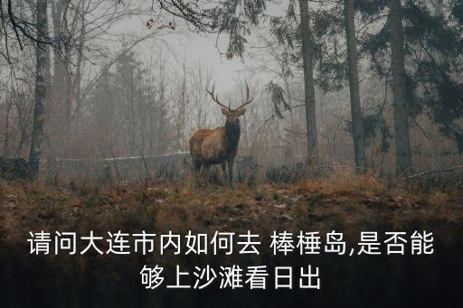 請問大連市內如何去 棒棰島,是否能夠上沙灘看日出