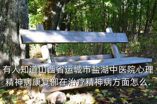 有人知道山西省運城市鹽湖中醫院心理精神病康復部在治療精神病方面怎么...