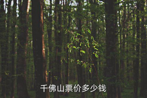 千佛山門票,千佛山門票怎么預(yù)約