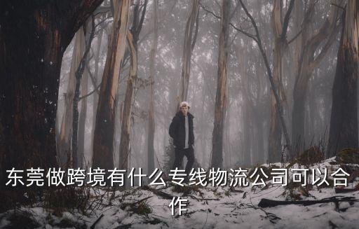 東莞做跨境有什么專(zhuān)線物流公司可以合作
