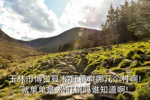 松旺鎮(zhèn),博白有幾個鎮(zhèn)?