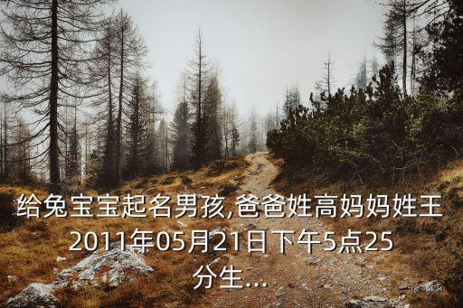 給兔寶寶起名男孩,爸爸姓高媽媽姓王2011年05月21日下午5點25分生...