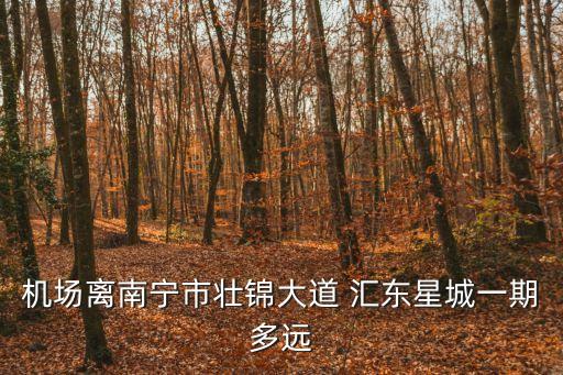 機場離南寧市壯錦大道 匯東星城一期多遠