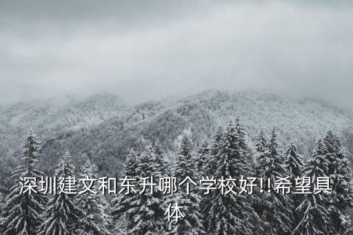 深圳建文和東升哪個學校好!!希望具體