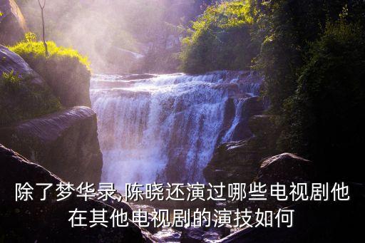 除了夢華錄,陳曉還演過哪些電視劇他在其他電視劇的演技如何