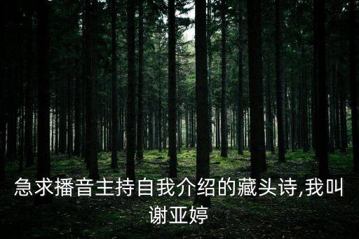急求播音主持自我介紹的藏頭詩,我叫謝亞婷