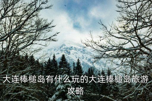 棒棰島,一文看懂!大連島風景區攻略