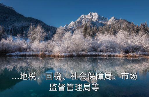 ...地稅、國稅、社會保障局、市場監督管理局等