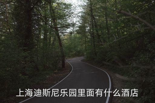 上海迪斯尼樂園里面有什么酒店