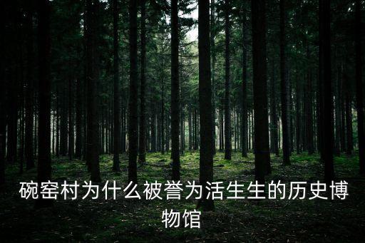  碗窯村為什么被譽為活生生的歷史博物館