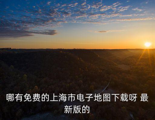 哪有免費的上海市電子地圖下載呀 最新版的