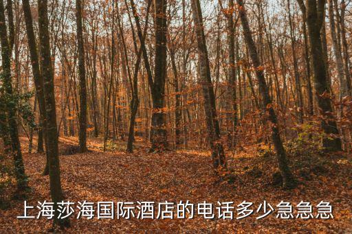 上海市旅館電話號碼，上海上南路附近的浩博賓館的電話是多少