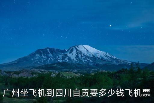 廣州到自貢機票預訂，買票票票票票票