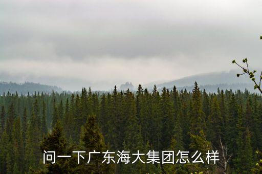 問一下廣東海大集團怎么樣
