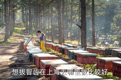 上海市哪里有拔牙齒，上海哪里有拔牙最好的醫(yī)院