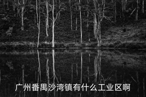 廣州市沙灣有什么大型企業，廣州市番禺區沙灣聲鴻電子廠