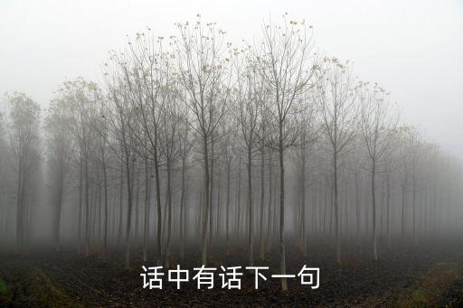 話中有話下一句