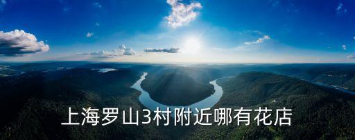 上海市錦繡路300弄3號房價，上海浦東錦繡路300弄35號是什么公司