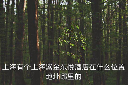 上海有個上海紫金東悅酒店在什么位置地址哪里的