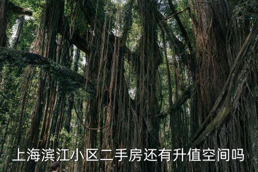 上海市濱江小區房價預測，未來三個月上海房價的走向