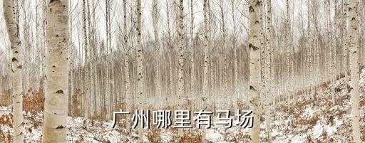 廣州芳村馬場，廣州哪里有馬場