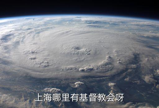 上海市馬橋鎮鎮長朱中意，黃浦江經過哪些地方