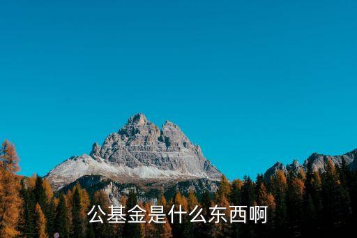 公基是什么，公基金是什么東西啊