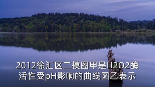 上海市2019初三徐匯區(qū)二?；瘜W，徐匯中考二模數(shù)學145語文133英語144物理83化學58可
