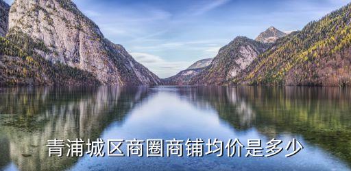 上海市區商鋪均價，上海一般地段的門面房50平方左右大概要多少錢