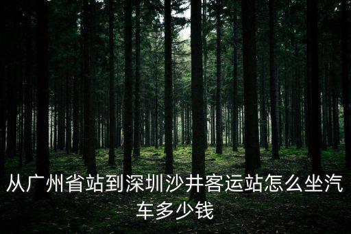 從廣州省站到深圳沙井客運站怎么坐汽車多少錢