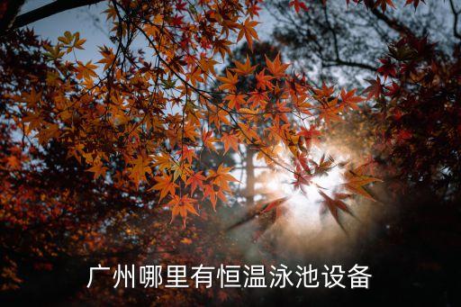廣州恒溫游泳池水處理設(shè)備，泳池水處理設(shè)備廠家哪家好