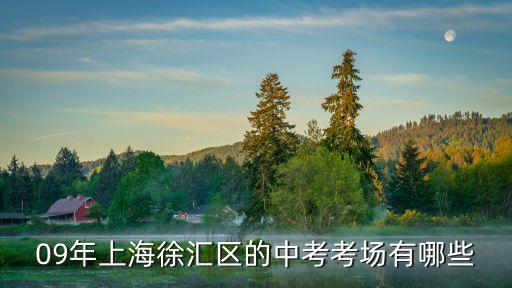 09年上海徐匯區的中考考場有哪些