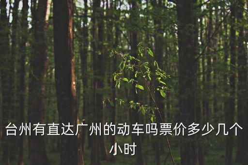 臺州有直達廣州的動車嗎票價多少幾個小時