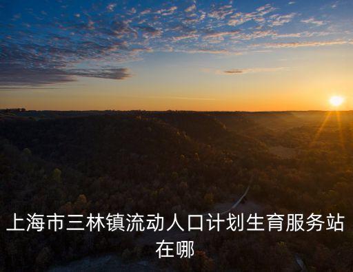 上海市三林鎮(zhèn)流動(dòng)人口計(jì)劃生育服務(wù)站在哪