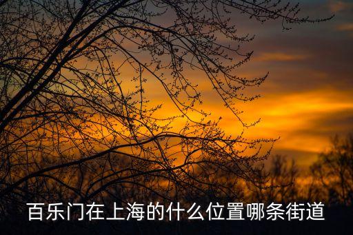 上海市百樂門在哪里，百樂門在上海的什么位置哪條街道