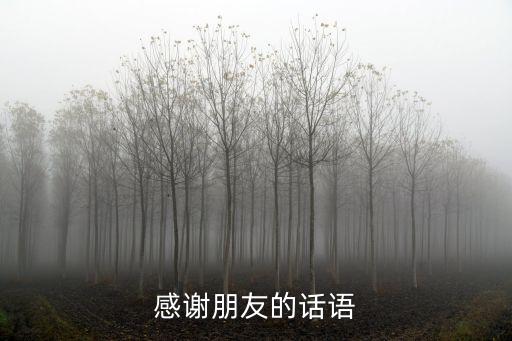 感恩朋友的最經(jīng)典句子，感謝朋友的話語