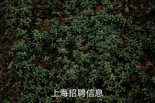 上海市西軟件信息園招聘信息，上海人才招聘信息哪里比較全