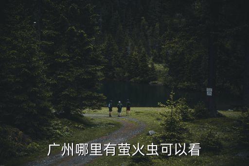 廣州哪里有螢火蟲可以看