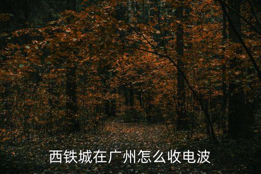 西鐵城在廣州怎么收電波