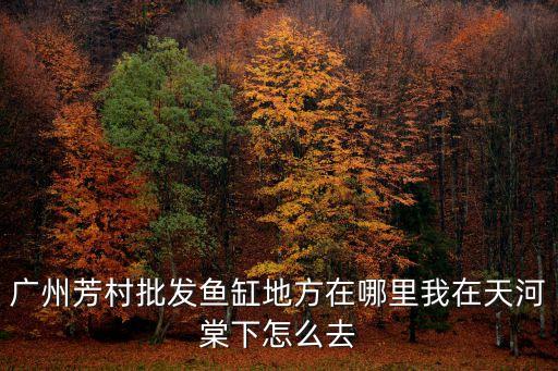 廣州花地魚缸批發(fā)，廣州芳村批發(fā)魚缸地方在哪里我在天河棠下怎么去