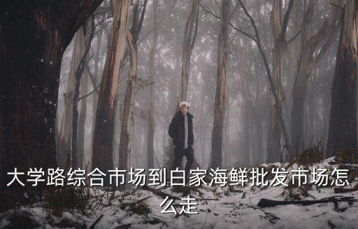 大學路綜合市場到白家海鮮批發市場怎么走