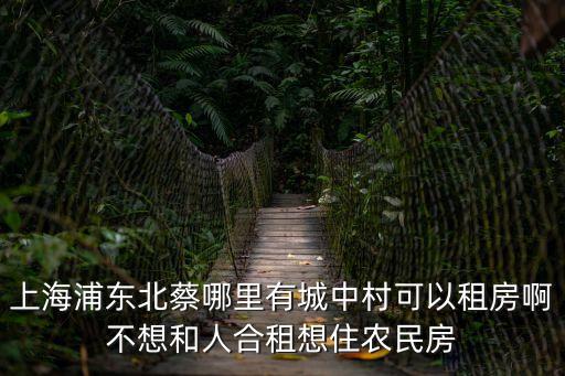 上海浦東北蔡哪里有城中村可以租房啊不想和人合租想住農(nóng)民房