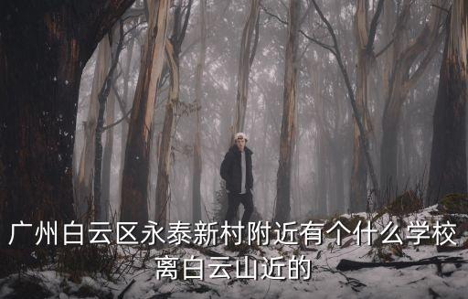 廣州白云區(qū)永泰附近私立小學(xué)，廣州市白云區(qū)永泰附近有哪些小學(xué)