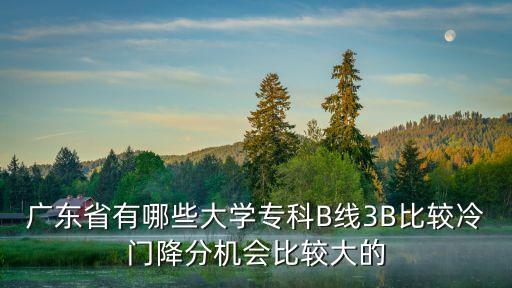 廣東省有哪些大學(xué)專科B線3B比較冷門降分機(jī)會(huì)比較大的