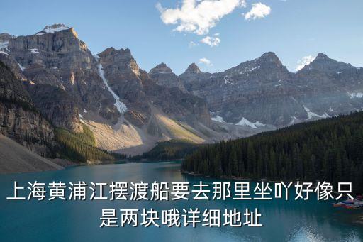 上海市輪渡公司官網(wǎng)，上海市輪渡有限公司在什么區(qū)