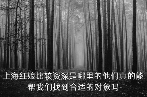 上海市優秀紅娘，上海紅娘范本良介紹朋友能成嗎