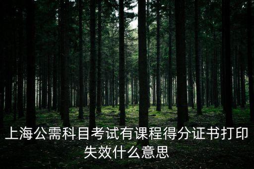 上海公需科目考試有課程得分證書(shū)打印失效什么意思