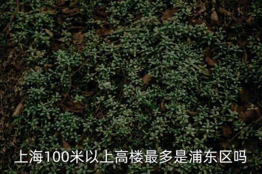 上海市 超過100米 摩天，上海100米以上高樓最多是浦東區(qū)嗎