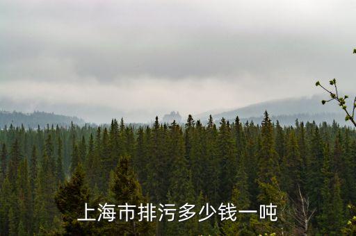 上海市排污多少錢一噸