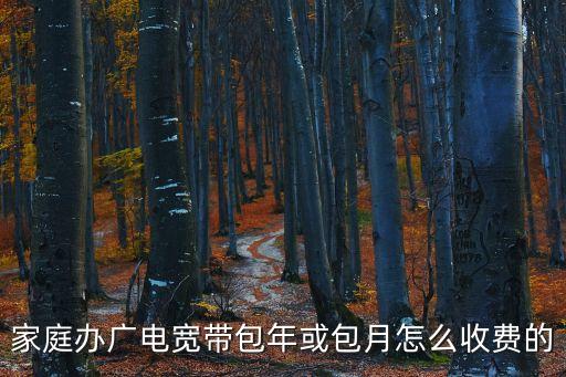 家庭辦廣電寬帶包年或包月怎么收費的